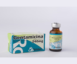Gentamicina 240 mg